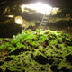 Illustration for article titled Inside Californias Crystal Ice Cave